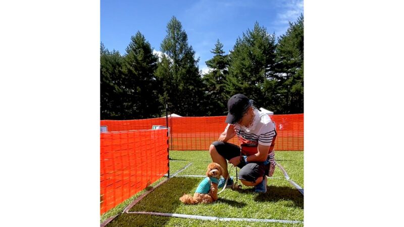 アウトドアドッグフェスタ2025のワンコすごろくの各マスでお題をこなしている弟犬の様子。目線あり