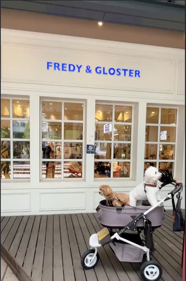 Cafe FREDY&GLOSTER exterior