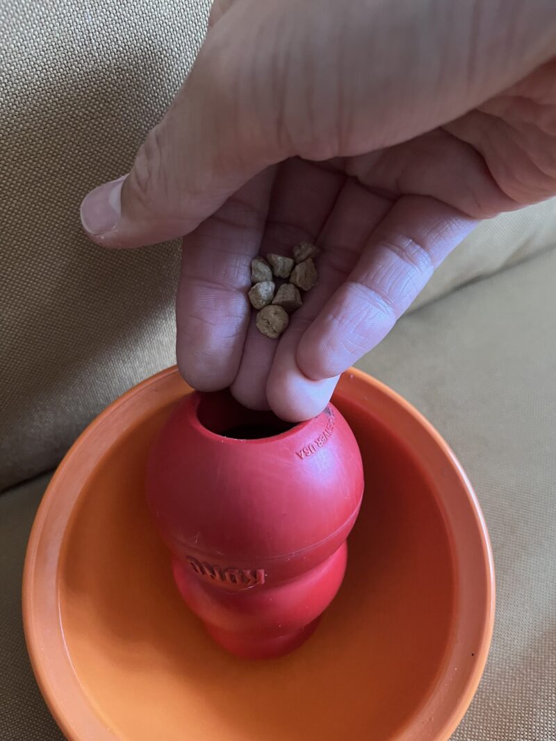 コングMサイズにドライフードを入れてフタをしている様子