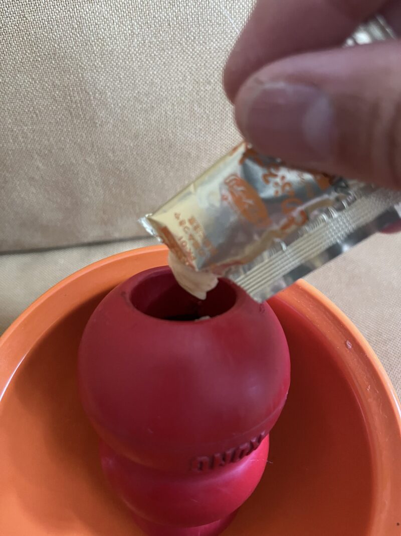 コングにペーストとドライフードをサンドイッチ状に詰めている様子