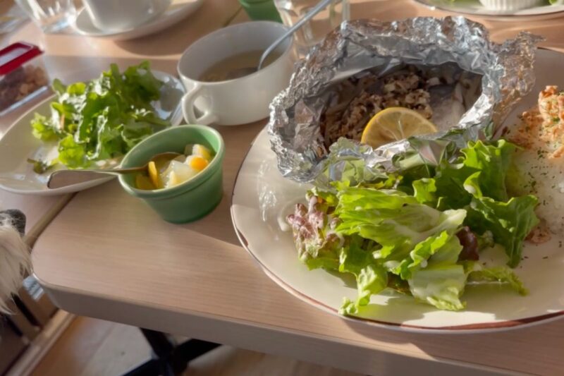 つるま食堂のランチメニュー「サワラのホイル焼きプレート」。ホイル焼きとご飯、サラダが並ぶ