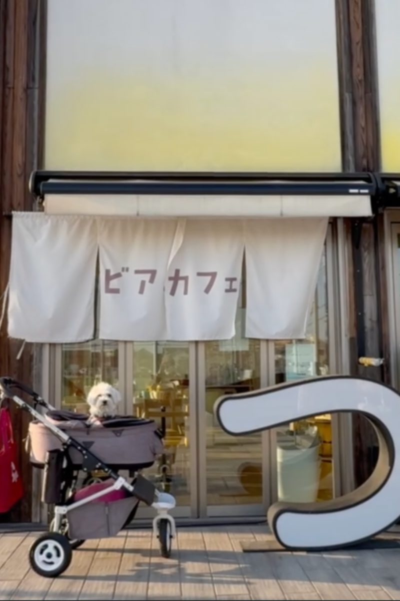 犬連れで利用できるつるま食堂の外観と入口の様子