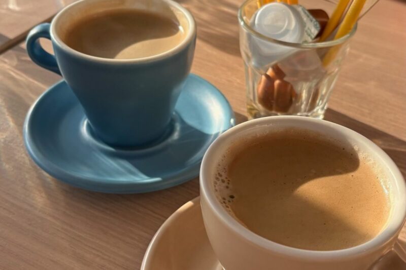 つるま食堂で提供された食後のコーヒー。窓際の明るい店内の様子