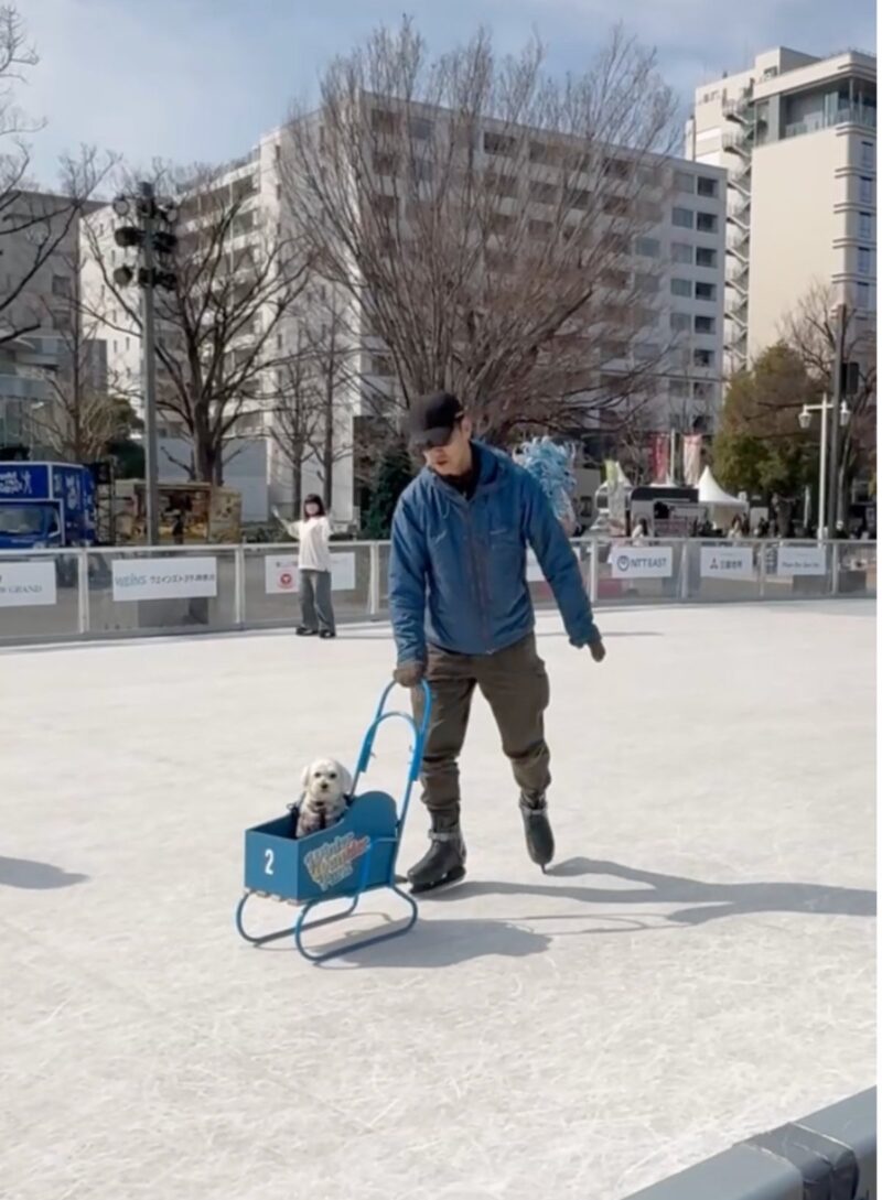 Winter Wonder Park Yokohamaで犬用ソリに乗った犬とスケートを体験する様子（2026年2月）