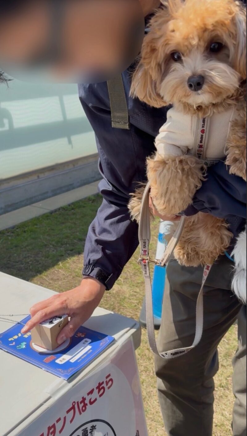 うちの子クエストのスタンプを押す様子とバロン