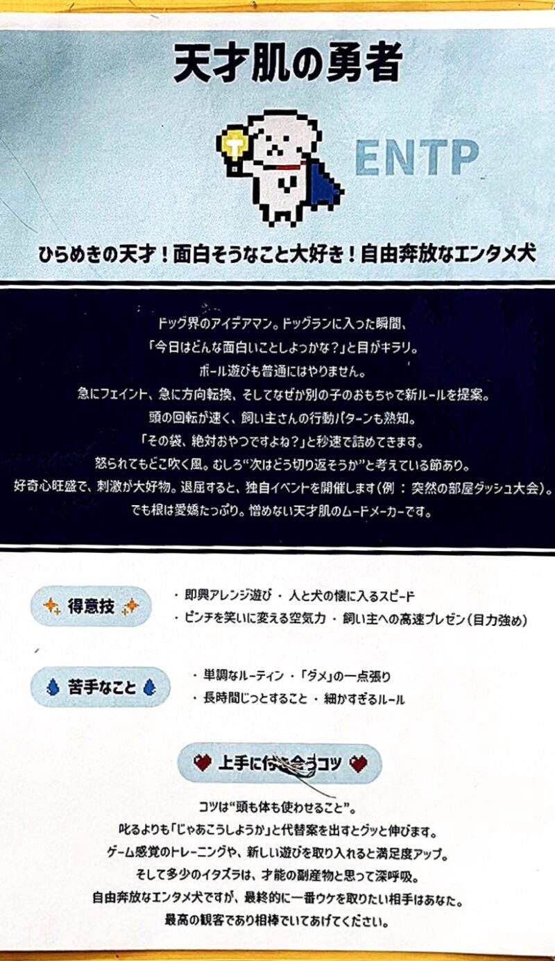 うちの子クエスト天才肌の勇者ENTPの診断パネル