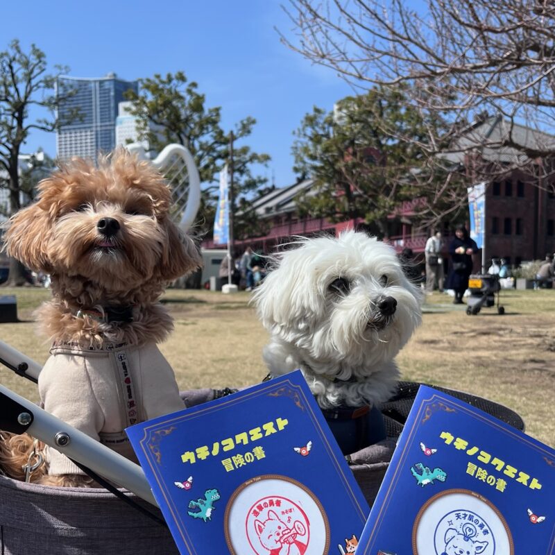 うちの子クエストの冒険の書2冊を持つ兄弟犬