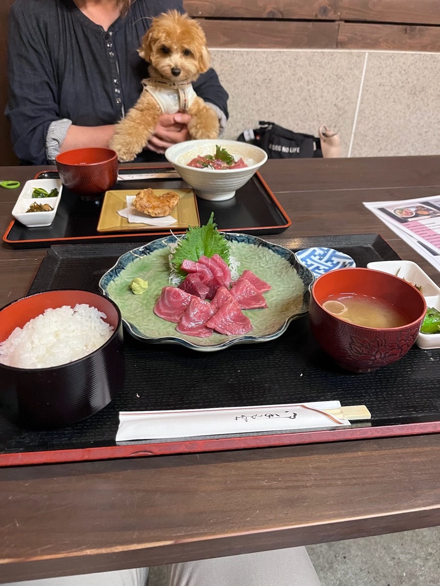 バロン抱っこ＋まぐろ刺身定食