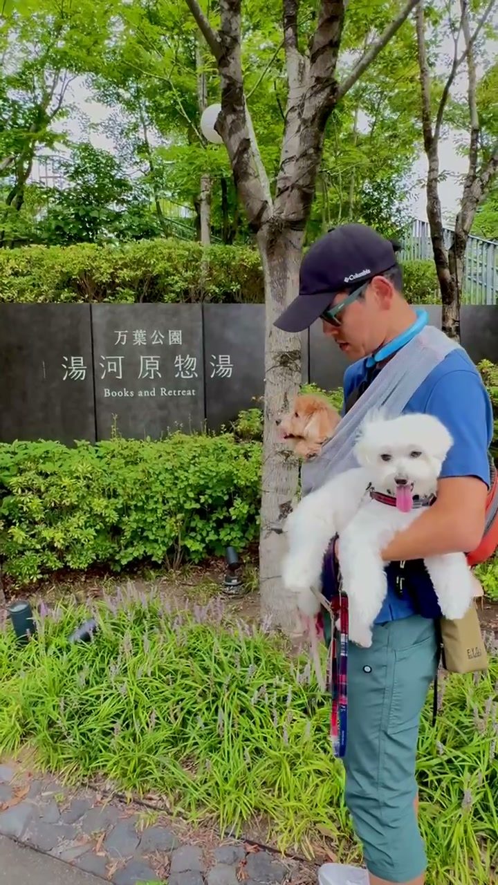 万葉公園 湯河原惣湯の看板の前で、抱っこされた2匹の犬