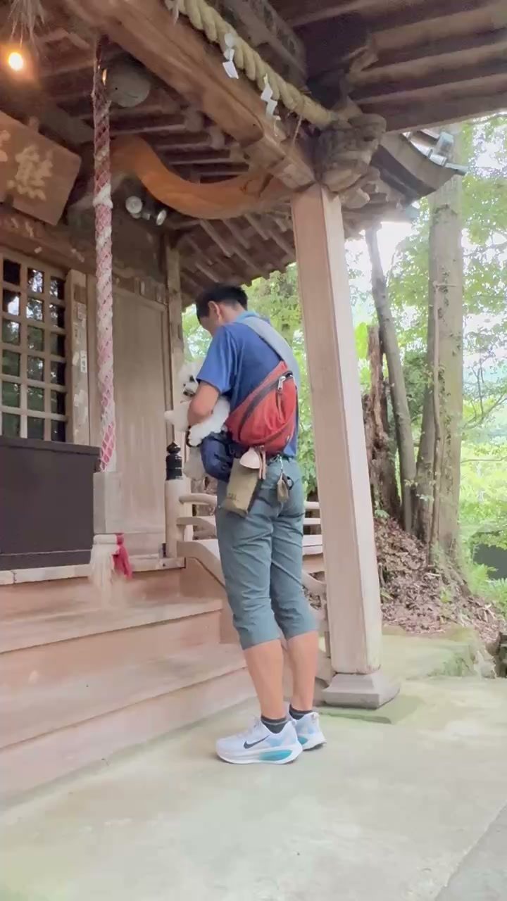 熊野神社の社殿の前で犬を抱いてお参り