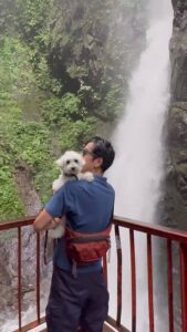 滝見台の赤い橋の上から、抱っこした白い犬と一緒に塩川滝を見上げる