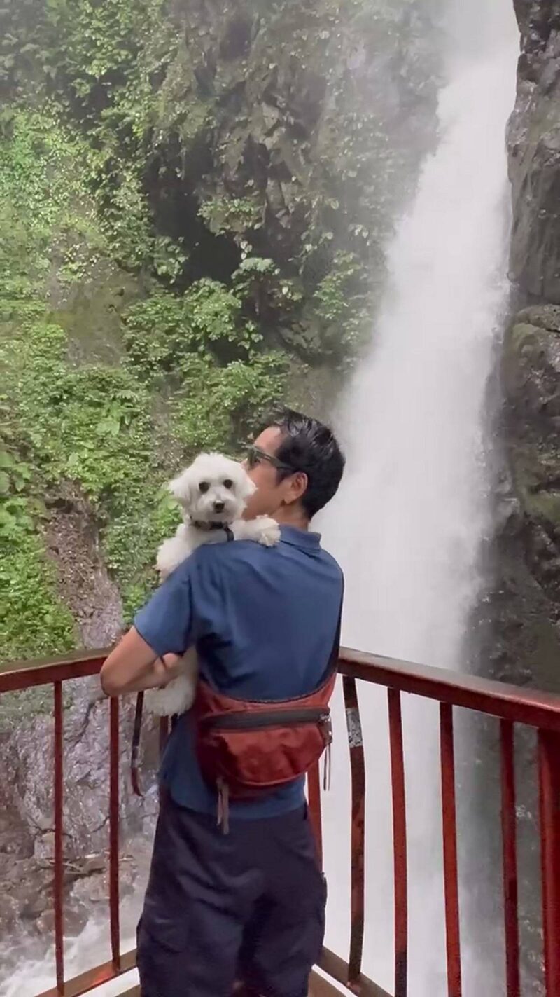 滝見台の赤い橋の上から、抱っこした白い犬と一緒に塩川滝を見上げる