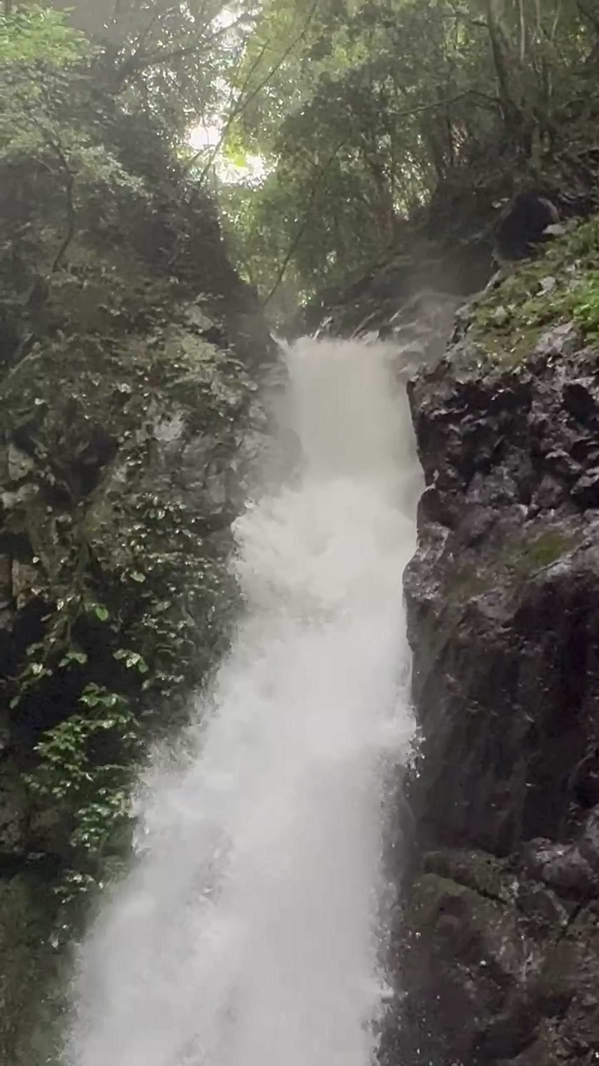 勢いよく滝つぼに落ちる水のアップ