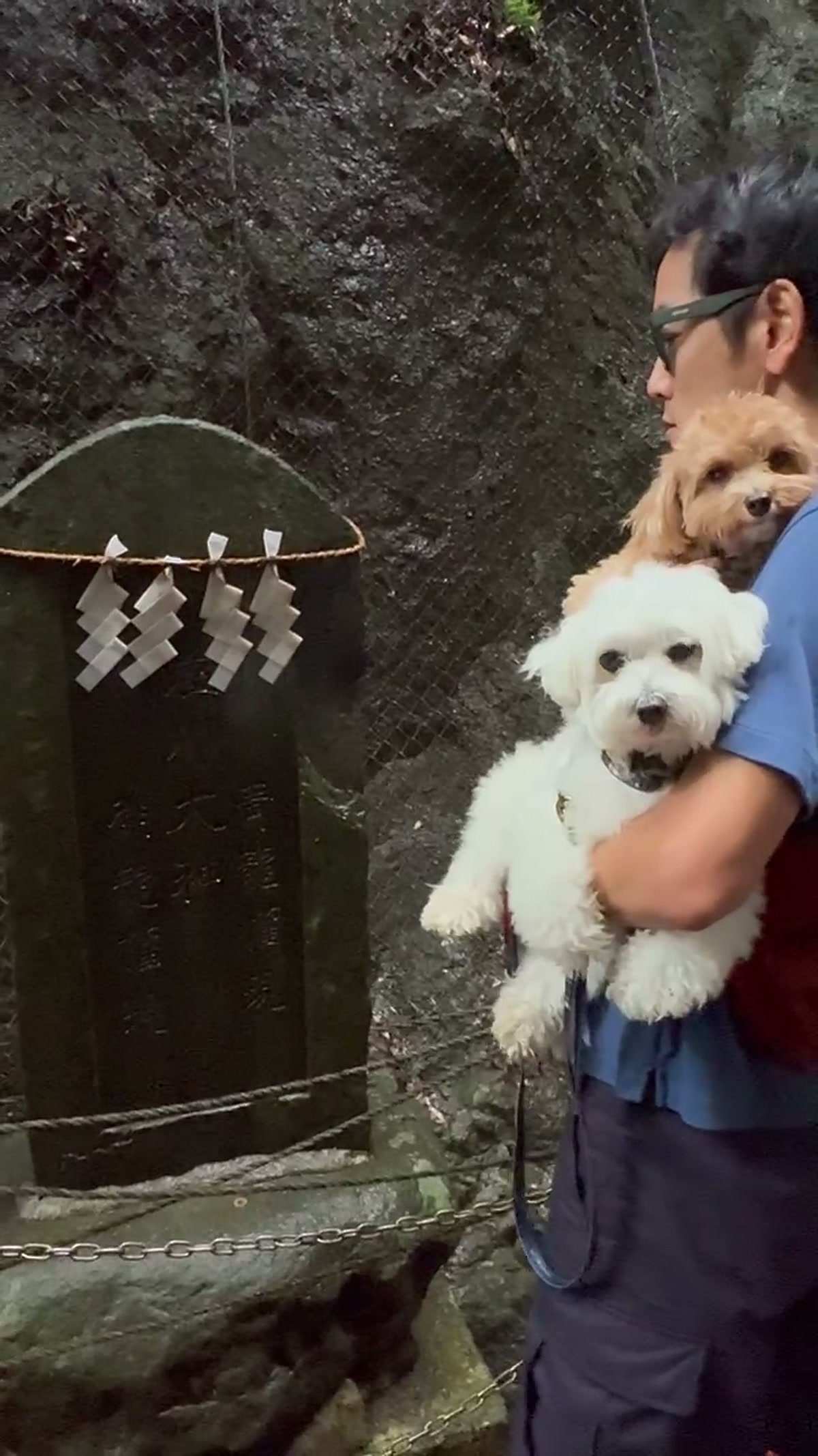 注連縄がかけられた石碑の前で、白い犬と茶色い犬を抱っこしている