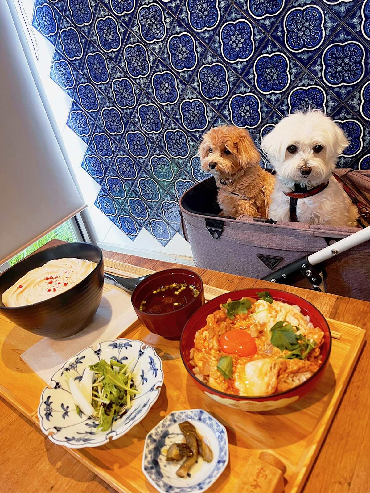 白いカレーうどんと親子丼のセット