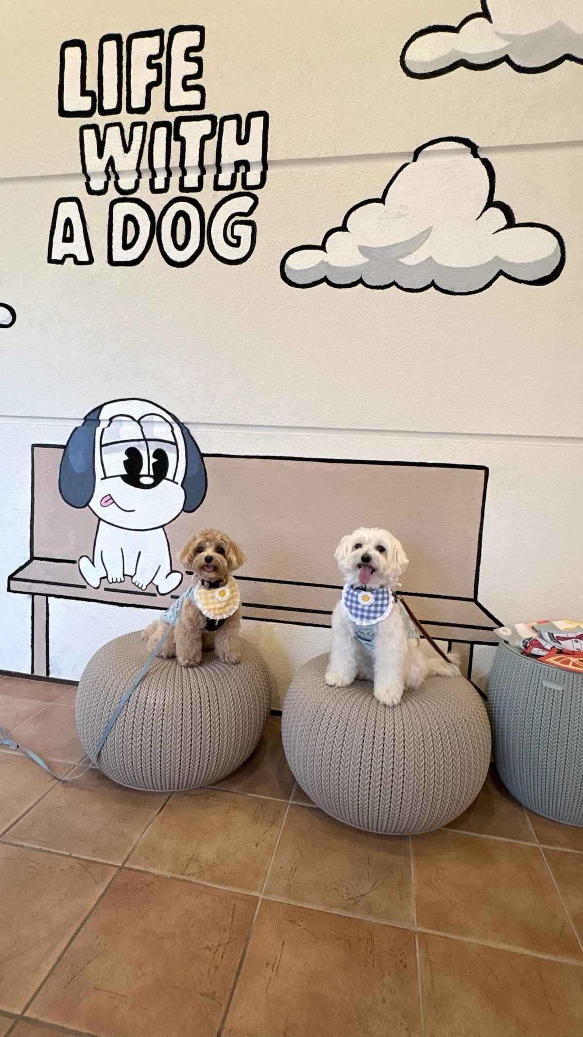 LIFE WITH A DOGのウォールアートの前に座る2匹の犬