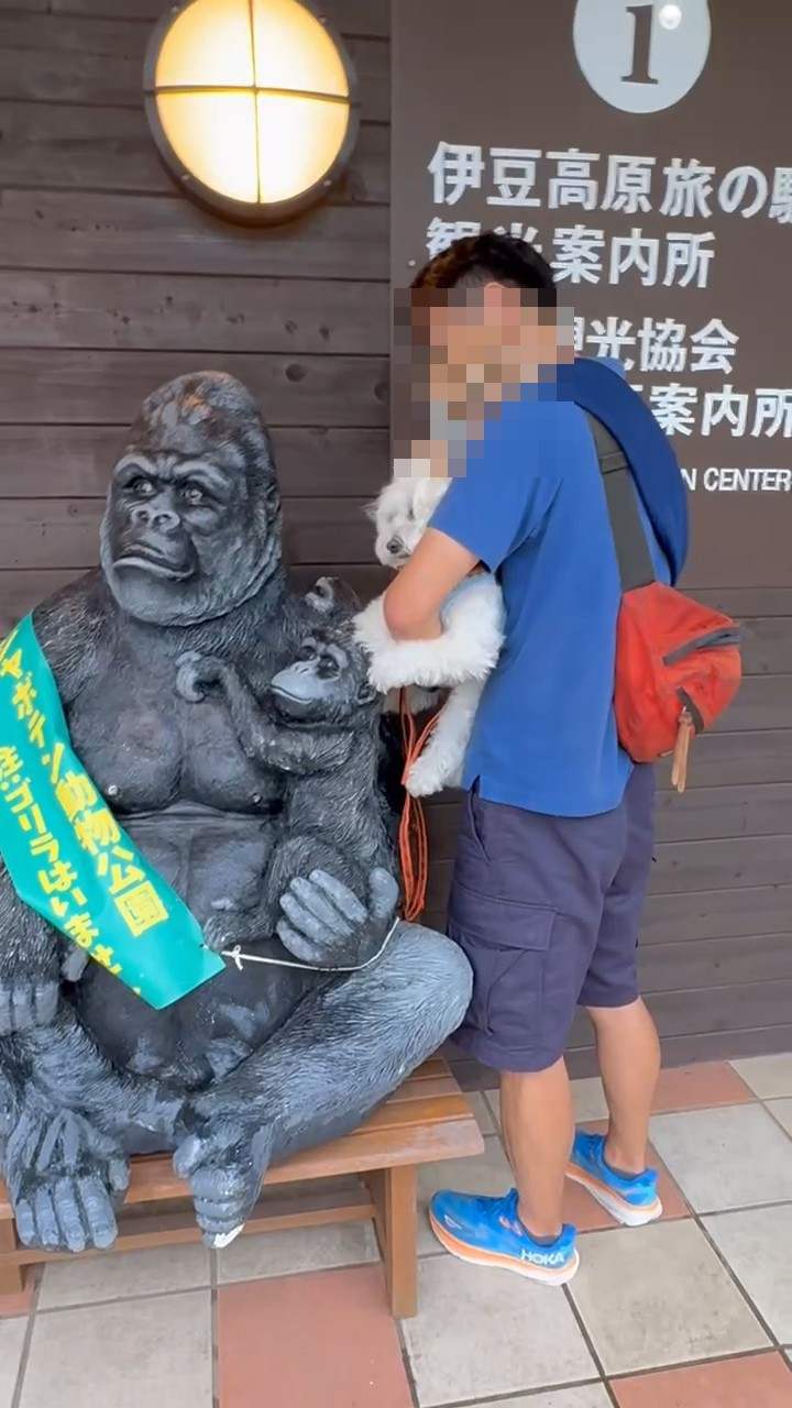 観光案内所の前のゴリラ像と犬