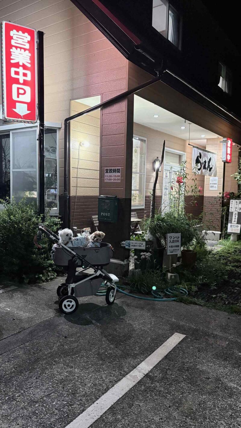 夜の餃子こうげん倶楽部の外観と、ペットカートに乗った2匹の犬