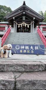 神祇大社の参拝記念の看板の前に座る2匹の犬