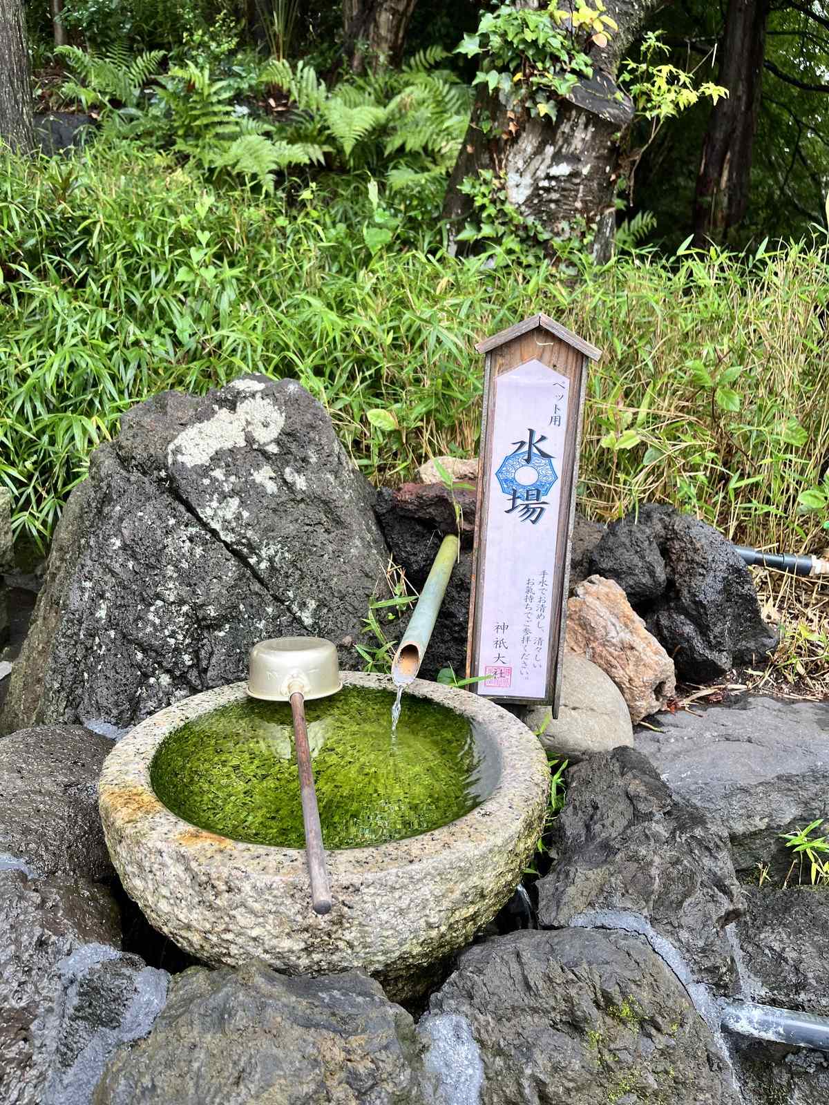 ペット用の水場の立て札と石の水盤
