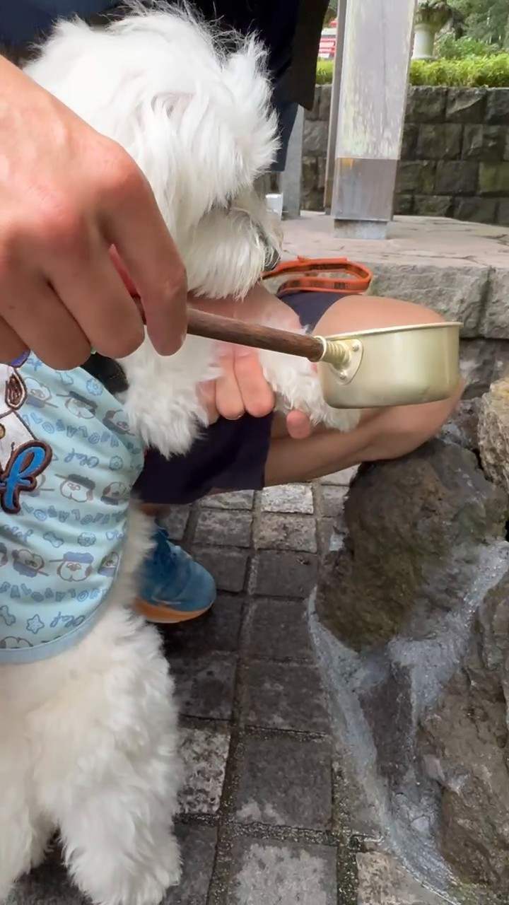 柄杓で犬の足に水をかけて清めているところ