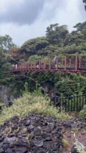 城ヶ崎海岸の門脇つり橋の全景