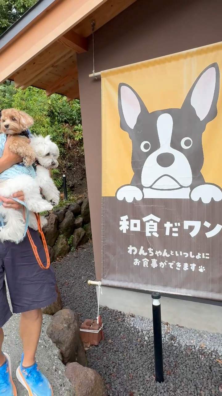 和食だワンののれん