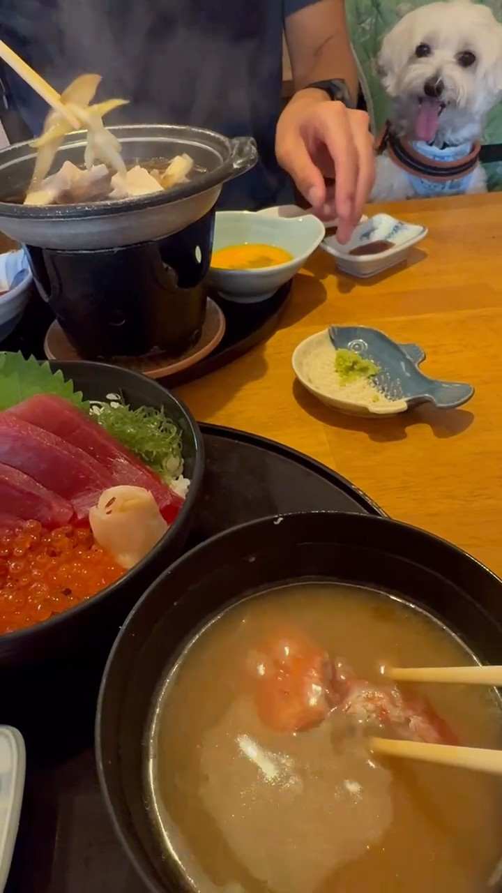 卓上の鍋と海鮮丼、テーブルの横からのぞく犬