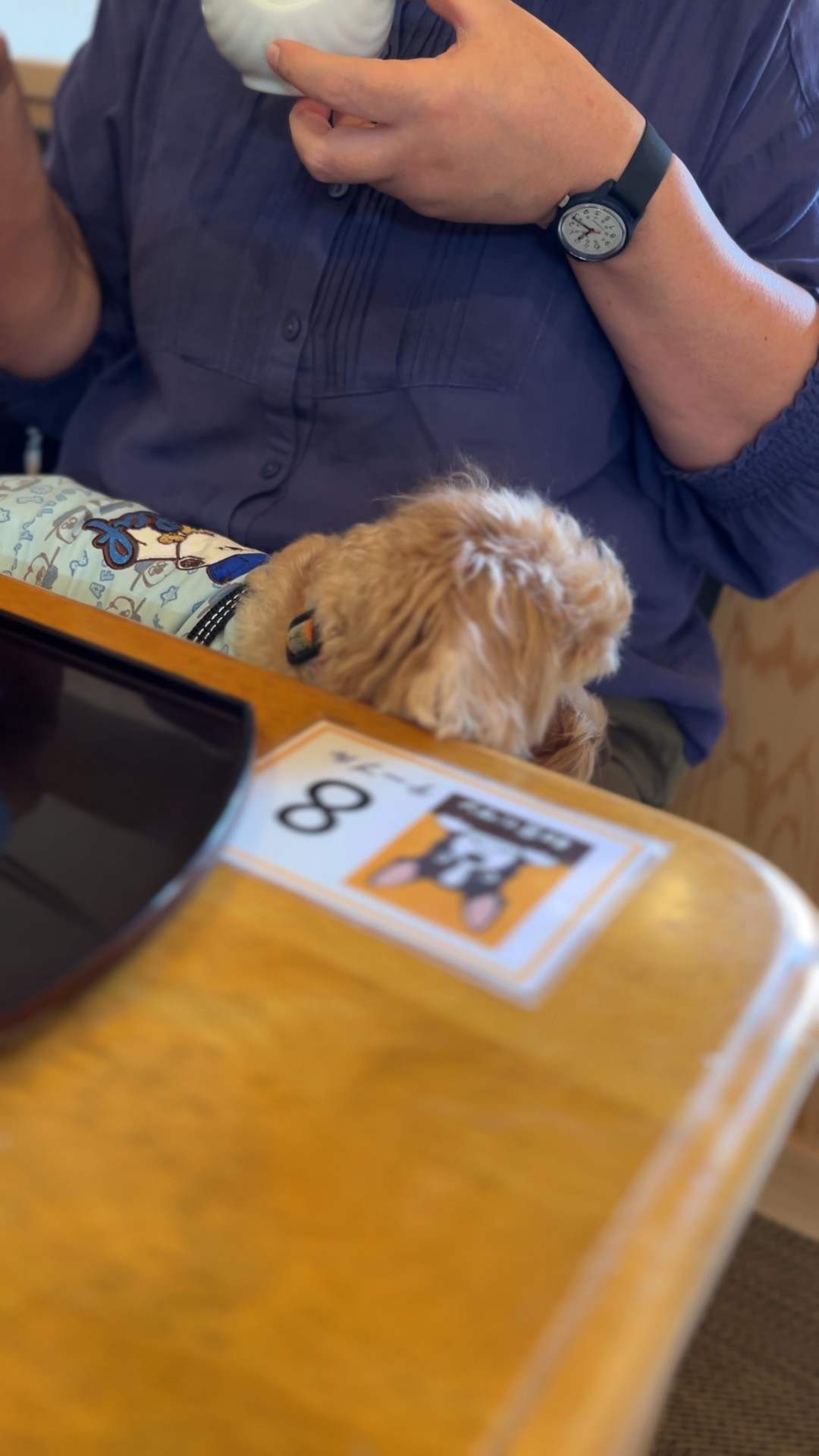 店内で過ごす犬